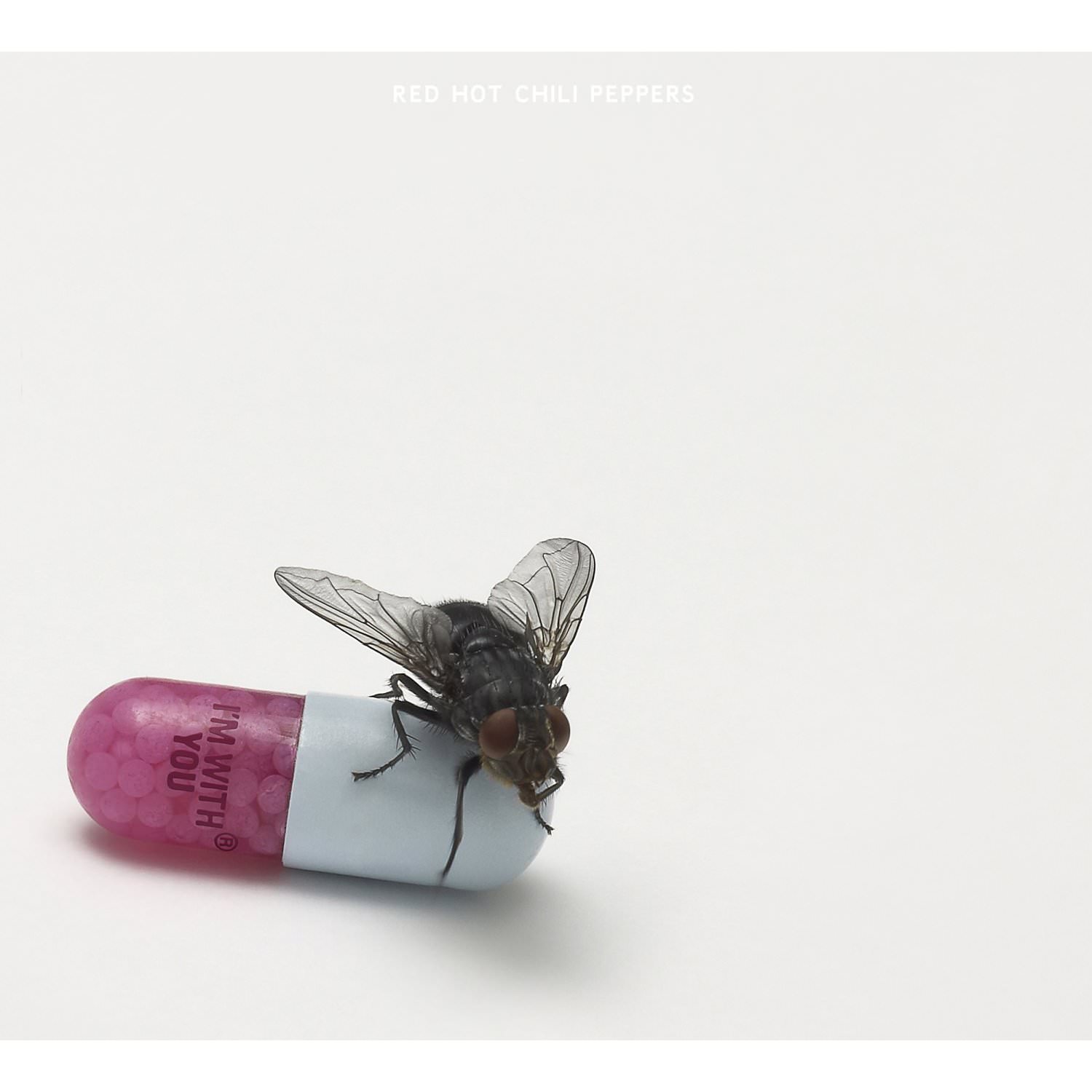 Dance, Dance, Dance album cover